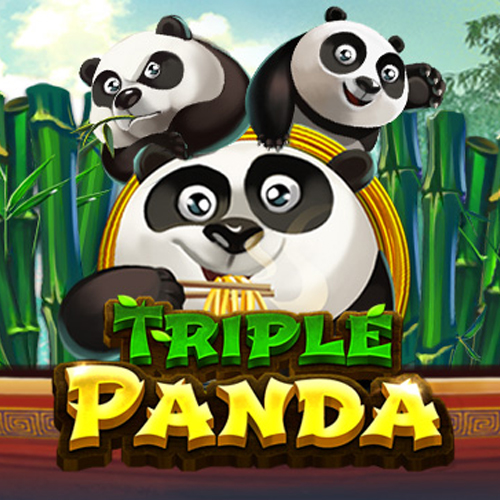 สนุกมาก!! เกมสล็อตหมีแพนด้า Triple Panda อีกหนึ่งเกมทำเงินที่คุณต้องลอง